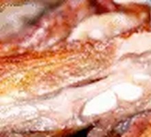 Grilled Lamb Ribs