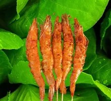 Grilled Large Shrimp