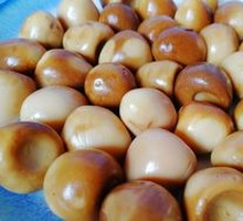 Quail Egg