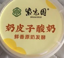 Creamy Milk Yogurt