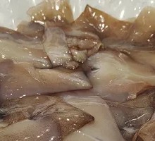 Squid