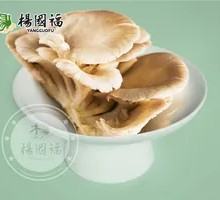 Enoki Mushroom