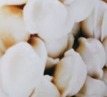 Chinese cabbage and pork dumplings