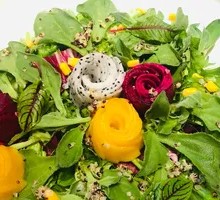 Chef's Salad