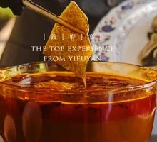 Spicy Sauce Turtle King