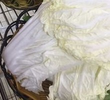 Chinese cabbage