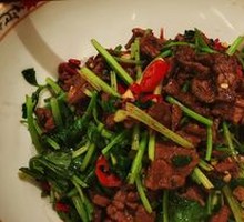 Cilantro Stir-Fried Beef Rice Bowl