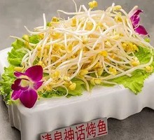 Mung Bean Sprouts