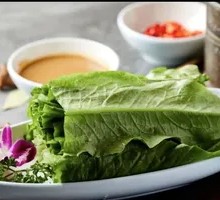 Oilseed lettuce
