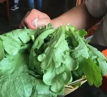 Vegetable Platter