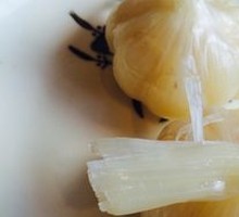 Sweet Pickled Garlic