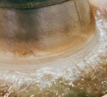 Classic Spring Water Clear Soup Pot