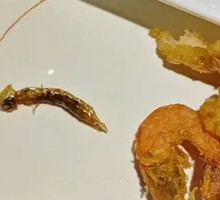 Small River Shrimp