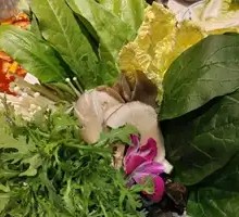 Mushroom and Vegetable Platter