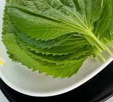 Perilla Leaf
