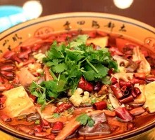 Chongqing Maoxuewang