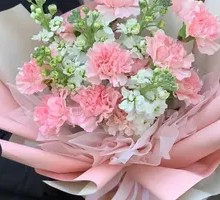 Carnation