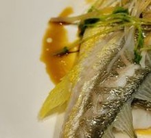 Deep-sea Yellow Croaker