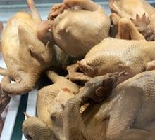 Classic Sauce-Braised Torn Chicken