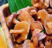 Red Milk Cap Mushroom