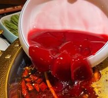 Fresh Duck Blood