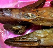 Black Duck Head