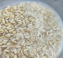 Sweet Fermented Rice Soup