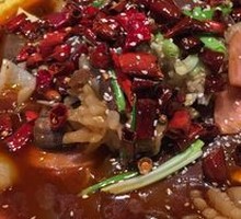 Premium Maoxuewang