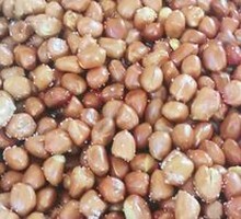 Fried Peanuts