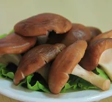 Shiitake Mushroom