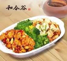Kung Pao Chicken with Mapo Tofu Rice