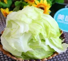 Romaine lettuce