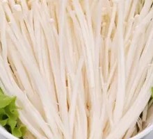 Enoki Mushroom