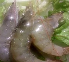 Large Shrimp