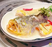 Large Yellow Croaker