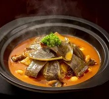 Stewed Softshell Turtle