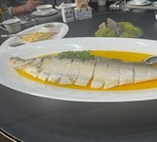 Chicken-Flavored Large White Fish