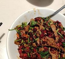 19-Second Pig Liver