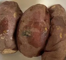 Roasted Sweet Potato