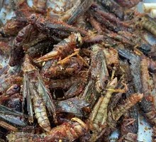 Crispy Fried Locusts