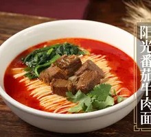 Sunshine Tomato Beef Noodles