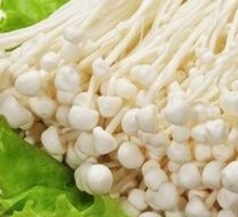 Enoki Mushroom