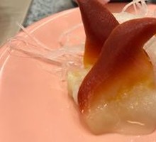Sea Scallop
