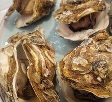 Original Fresh Oyster