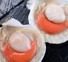 Scallop