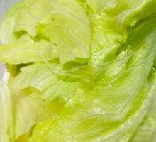 Romaine lettuce