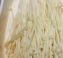 Enoki Mushroom