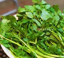 Cantonese Watercress