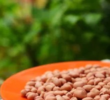 Fried Peanuts
