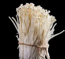 Enoki Mushroom